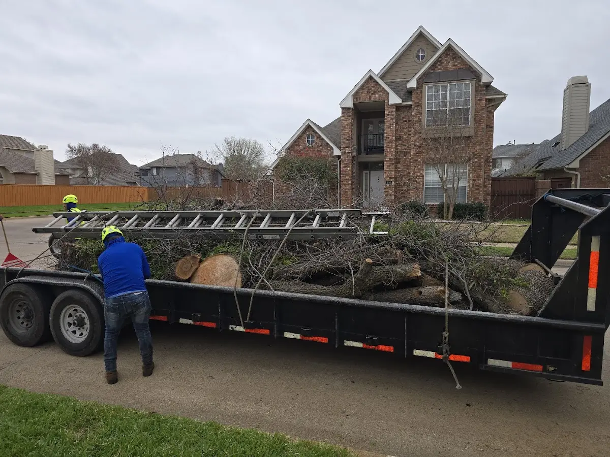 Expert Lot Clearing with proper safety equipment in Liberty Center